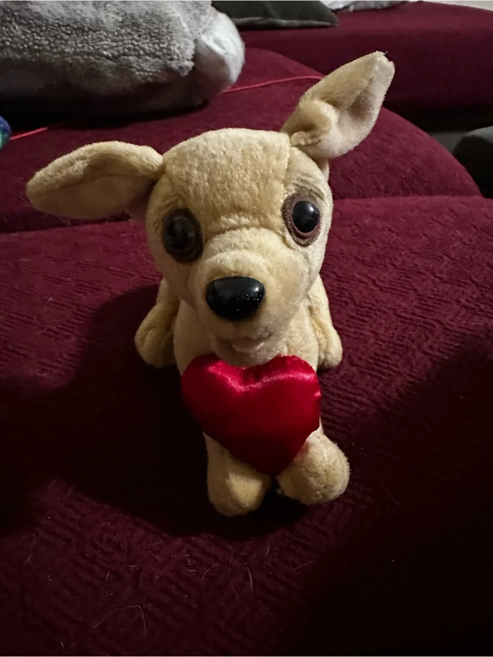 Vintage Official Taco Bell Talking Chihuahua Dog 6